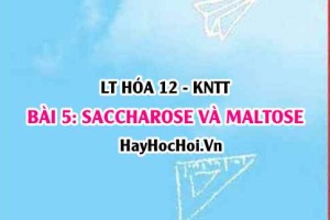 Đường ăn Saccharose là gì? Công thức cấu tạo, tính chất hóa học Saccharose, Maltose và ứng dụng? Hóa 12 bài 5 KNTT